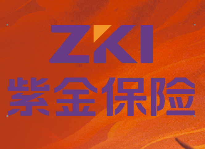 紫金保险